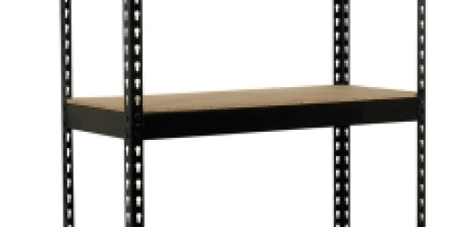 Ace Hardware: Colossal Rack 5 Tier Steel Shelving Unit Only $29.99 After Rebate + FREE Store Pickup