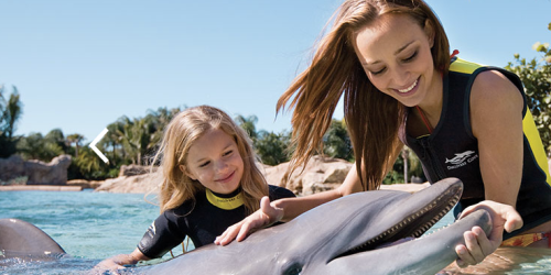 Florida Residents: FREE Busch Gardens Tampa & SeaWorld Orlando Pass (For Kids 5 and Under Only)