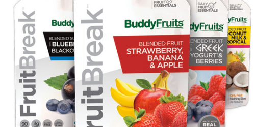 New Buy One FruitBreak Pouch Get One Free Coupon = Only 64¢ per Pouch at Walmart