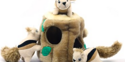 Amazon: Highly Rated Hide-A-Squirrel Puzzle Toy for Dogs Only $7.79 (Regularly $17.99!)