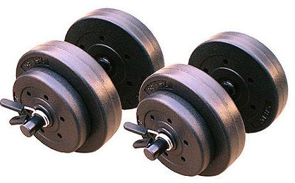 Gold s gym cast deals iron dumbbell set