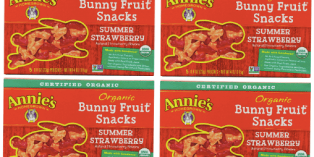 Amazon: 4 Boxes of Annie’s Homegrown Organic Fruit Snacks Only $9.60 Shipped