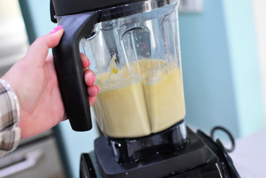 Score $300 Off This Vitamix Pro Blender + Free Shipping (Includes 10-Year Warranty!)
