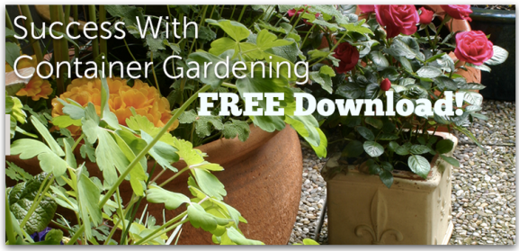 Craftsy Com 2 Free Online Gardening Classes Free Success With