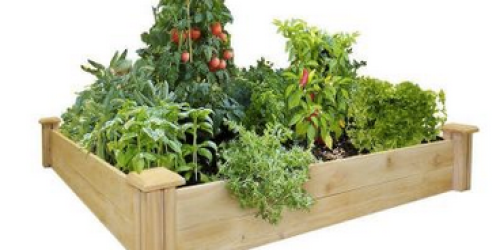 Home Depot: 48″ x 48″ Cedar Raised Garden Bed Only $34.88 (Reg. $44.97) + FREE In-Store Pickup