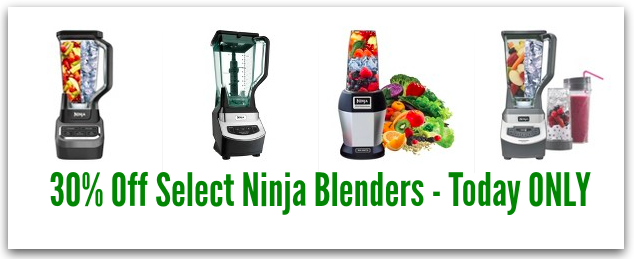 Target.com: 30% Off Ninja Blenders (Today Only!)