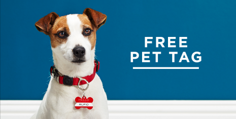 Shutterfly free shop dog tag