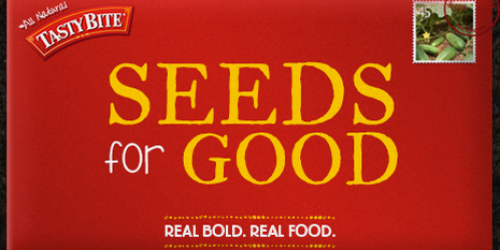 FREE Packet of Organic Vegetable Seeds (Share Your Harvest with Local Food Pantry) – 1st 5,000