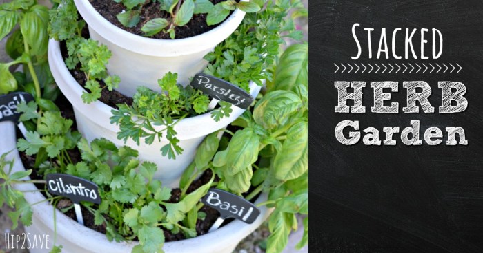 Stacked Herb Garden Hip2Save.com