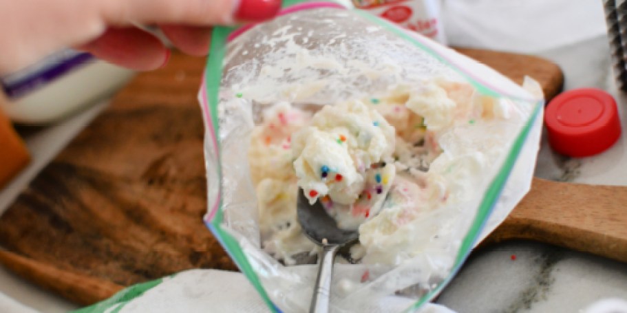 Instant Homemade Ice Cream in a Bag (No Ice Cream Machine Needed!)