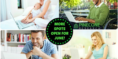 Pinecone Research: Recruiting NEW Panelists in June