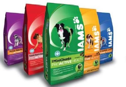 iams cat food target