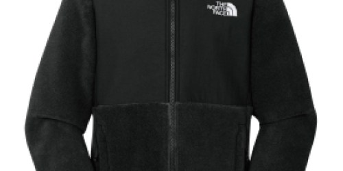 Dick’s Sporting Goods: The North Face Girls’ Denali Fleece Jacket ONLY $33.70 Shipped (Reg. $109?!)