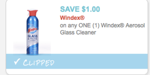 NEW $1/1 Windex Aerosol Glass Cleaner Coupon = Possibly Only 75¢ at Walgreens (Starting 7/13)