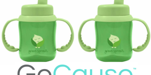 GoCause: $15 Gets YOU Two Green Sprouts Flip Top Sippy Cups AND Helps Fund Biosand Filter in Uganda
