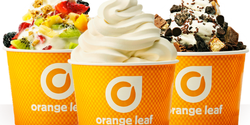 Orange Leaf: Kids Get FREE 3oz of Frozen Yogurt (Just Share Ideas on How to Improve Your Community)