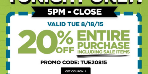 Michaels: Rare 20% Off ENTIRE Purchase Coupon Including Sale Items – Today Only from 5PM-Close
