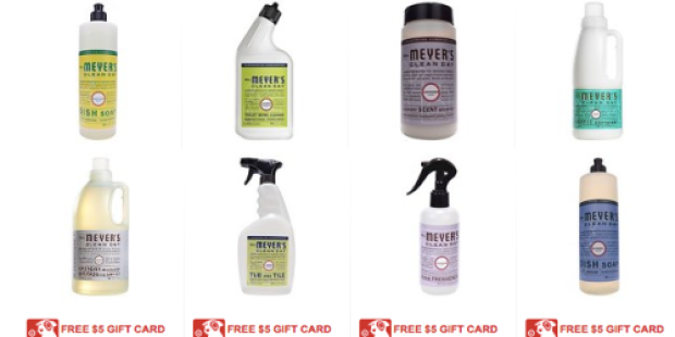 Target.com: Mrs. Meyer’s Dish Soaps Only $1.56 Each (After Gift Card) + Free In-Store Pickup