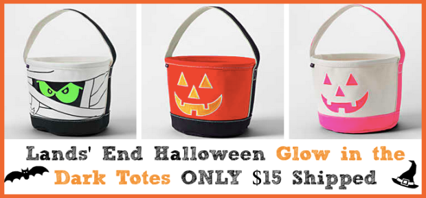 Lands' End Glow in the Dark Halloween Totes