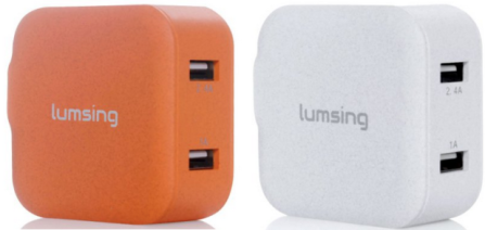 Lumsing Dual-Port USB Travel Charger