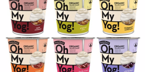 Target: Stonyfield Oh My Yog! Yogurts Only 35¢ Each After NEW Cartwheel Offer & More