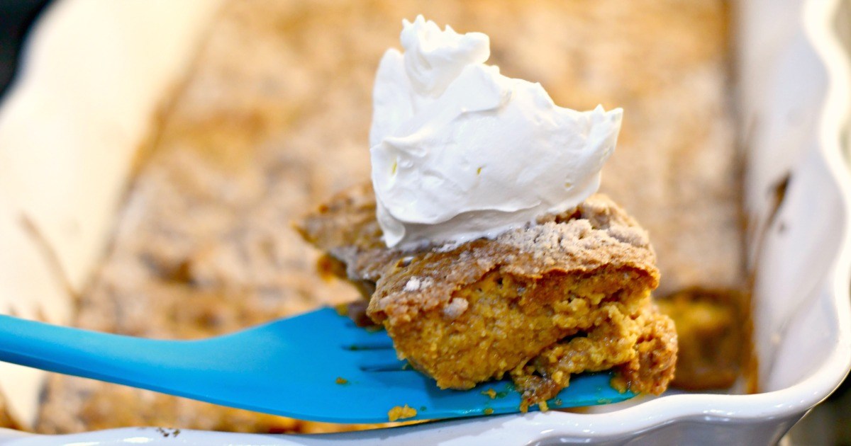 Pumpkin Dump Cake (Easy Dessert) | Hip2Save