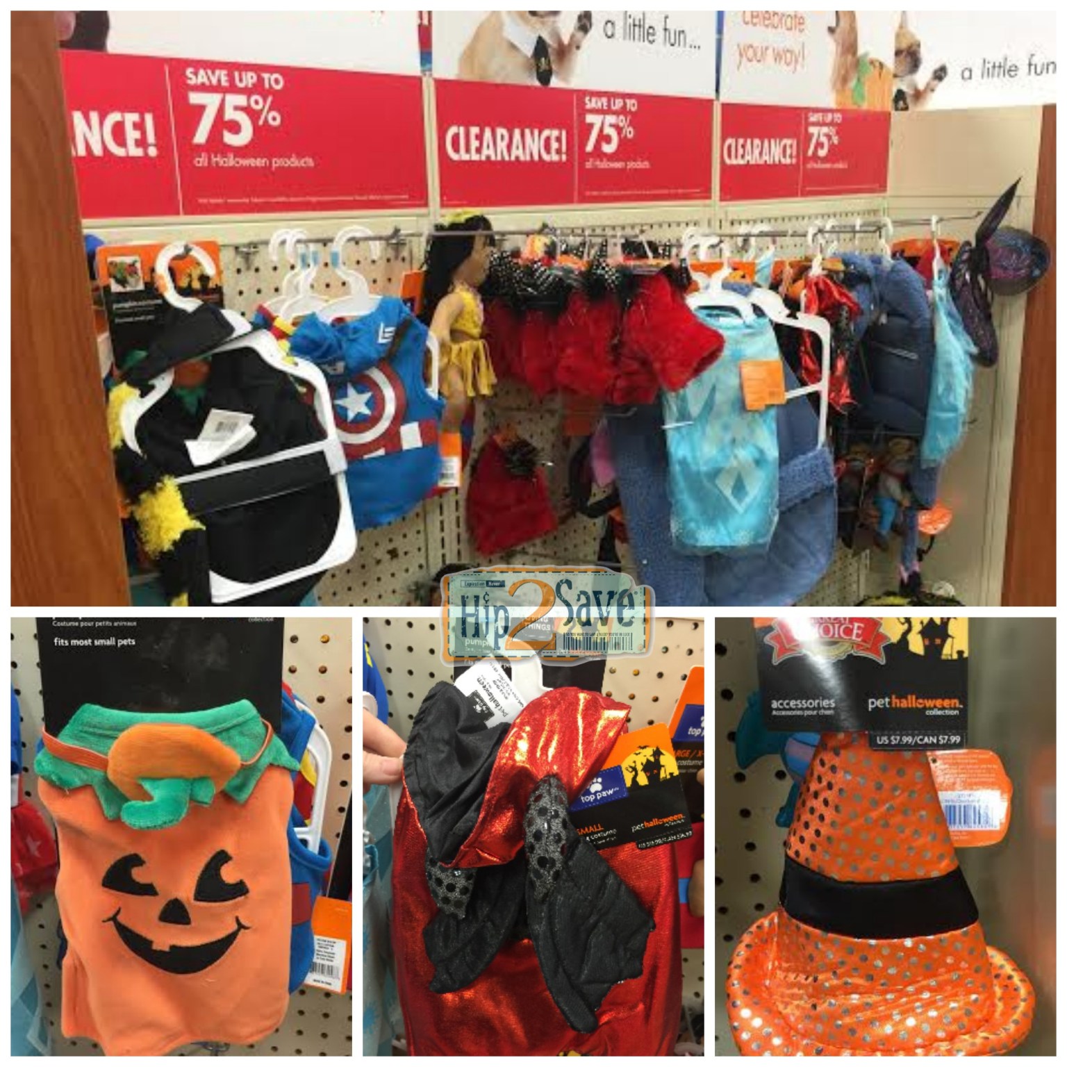 FREE Shipping (Today Only) + 75 Off Halloween Pet