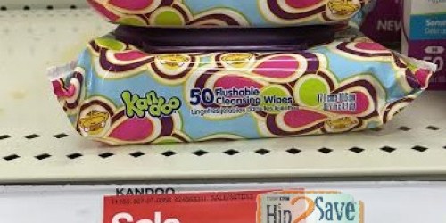 Target: Kandoo Flushable Cleansing Wipes 50ct Only 50¢ (Regularly $1.99)
