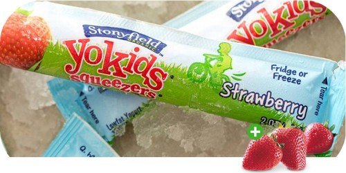 *NEW* $1/1 Stonyfield YoKids Squeezers 8-pack Coupon = Only $1.99 at Target