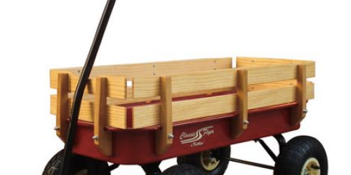 Walmart.com: Classic Flyer by Kettler All Terrain Wagon Only $74 Shipped (Regularly $124)