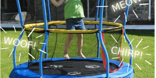 Highly Rated Skywalker Bounce-N-Learn Trampoline With Safety Enclosure Only $69 (Regularly $132)