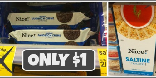 Walgreens: Full-Size Nice! Crackers & Cookies Packages Only $1 Each + Peanuts & More Only $1.50