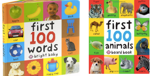 First 100 Words Baby Board Book Only $3.30