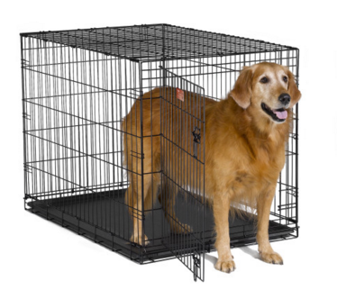  Midwest iCrate Dog Crate