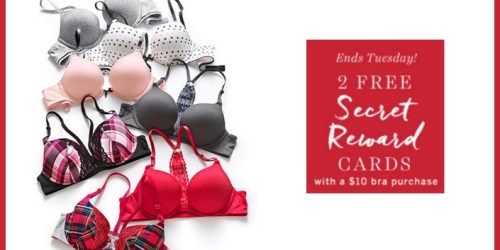 Victoria’s Secret: PINK Bra & 2 FREE Secret Reward Cards Only $23.98 Shipped