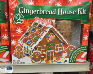 Rite Aid Gingerbread House Kit