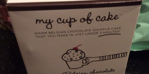 Sam’s Club: Large Bag of Dove Dark Chocolate Covered Cranberries Only $2 + More