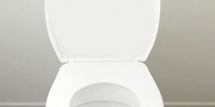 Amazon: Highly Rated “Put Me Down” Bathroom Toilet Seat Decal Only $1.75 Shipped (Reg. $9.95)