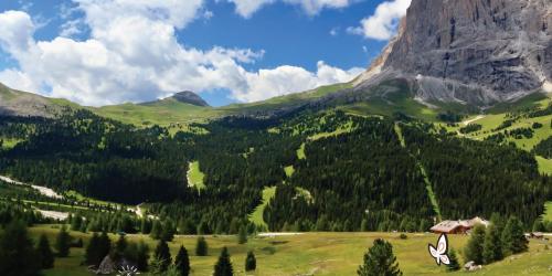 Geocaching: FREE Real-World Outdoor Treasure Hunt (Fun Activity for the Entire Family)