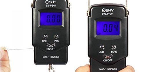 Amazon: Esky Electronic Balance Digital Hanging Hook Scale Only $7.99 (Regularly $29.99)