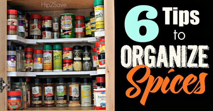 6 Tips to Organize Spices by Hip2Save