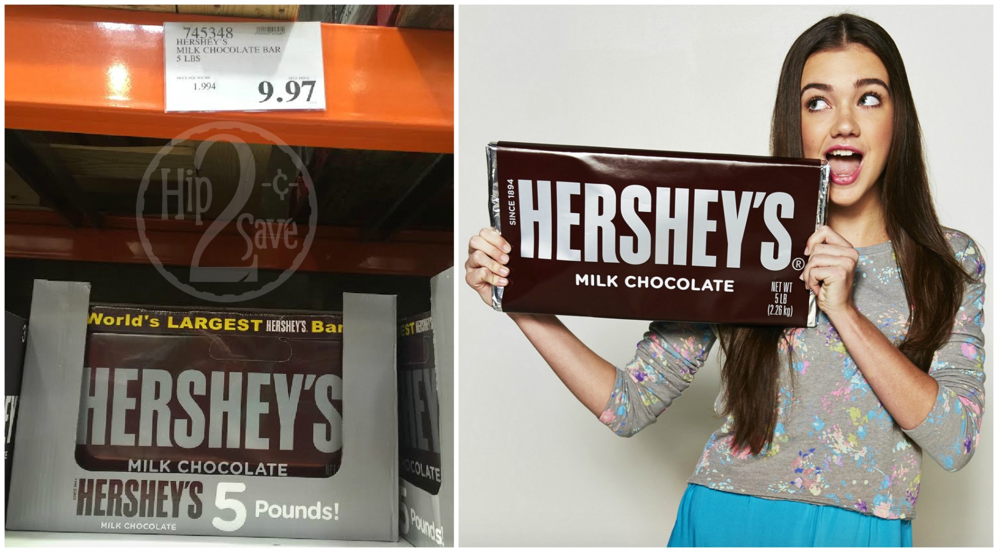 Costco HUGE 5Pound Hershey's Milk Chocolate Bar Possibly ONLY 9.97