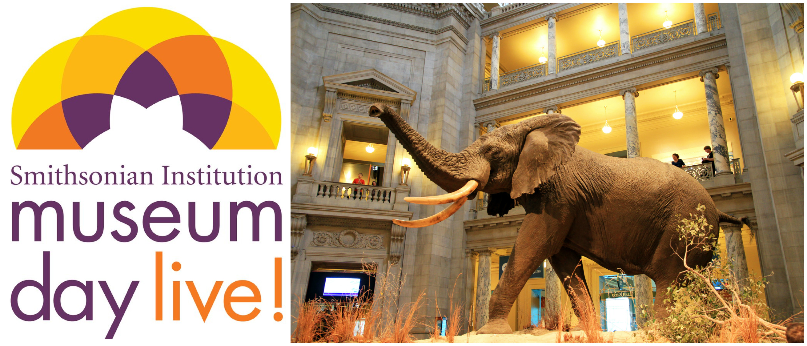 FREE Museum Day on March 12th (Must Reserve Your Tickets By Tomorrow