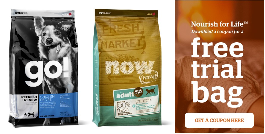 fresh market now dog food