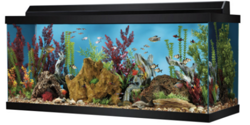 PetSmart: 75 Gallon Aquarium Only $149.74 (Regularly $234.99) & More