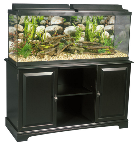 20 gallon fish tank stand petsmart