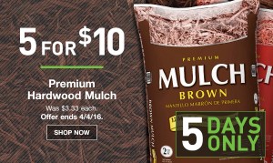 Mulch At Lowe S 5 For 10