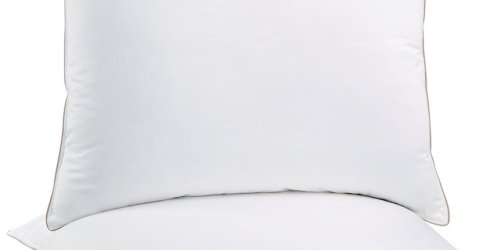 Macy’s: 2 Pack of Martha Stewart Allergy Wise Euro Pillows Only $17.99 (Regularly $60)