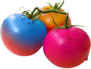 TomatoInk