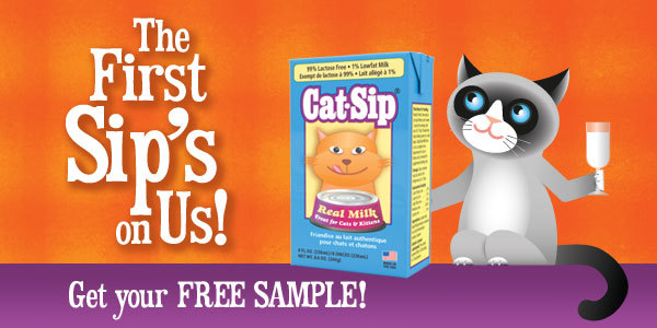 cat sip free sample